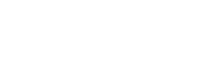Y.N.F.S